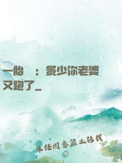 一胎雙寶：景少你老婆又跑了