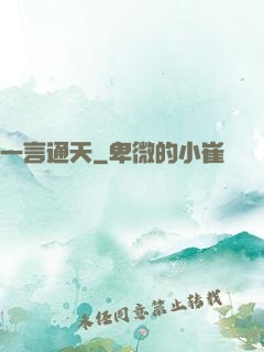 一言通天
