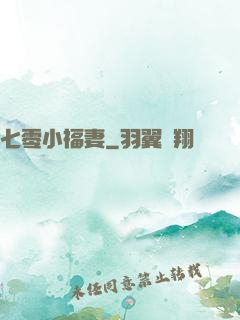 七零小福妻