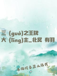 三國(guó)之王牌大領(lǐng)主