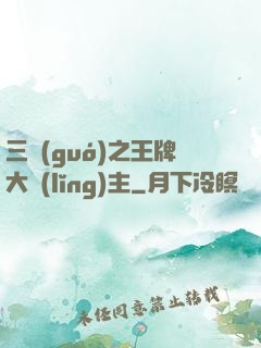 三國(guó)之王牌大領(lǐng)主