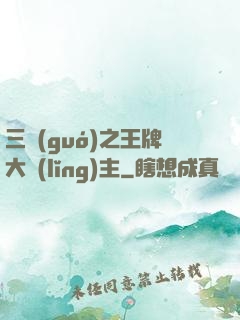 三國(guó)之王牌大領(lǐng)主