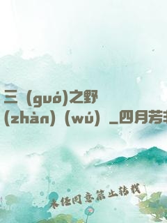 三國(guó)之野戰(zhàn)無(wú)雙