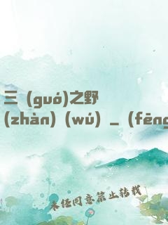 三國(guó)之野戰(zhàn)無(wú)雙