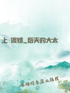 上門傻婿