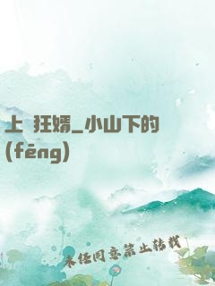 上門狂婿