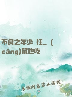 不良之年少輕狂
