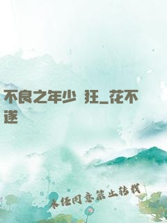 不良之年少輕狂