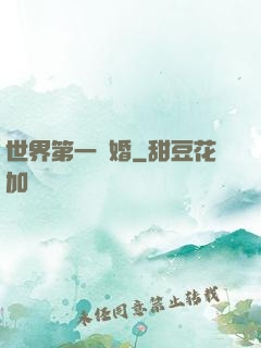 世界第一軍婚