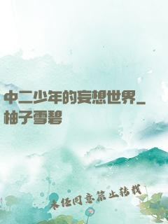 中二少年的妄想世界