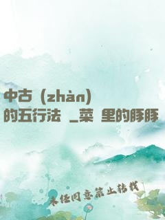 中古戰(zhàn)錘的五行法師