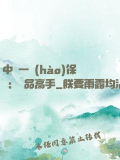 中華一號(hào)保鏢：極品高手