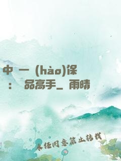 中華一號(hào)保鏢：極品高手