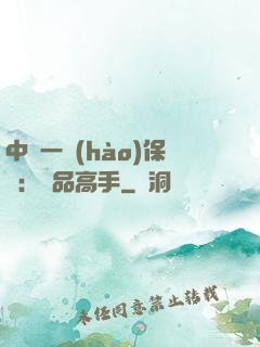 中華一號(hào)保鏢：極品高手