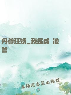 丹尊狂婿