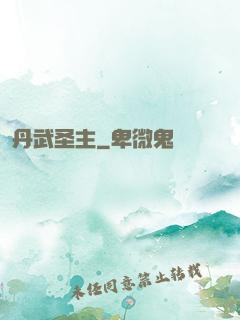 丹武圣主