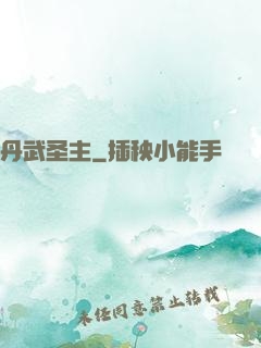 丹武圣主
