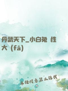 丹武天下