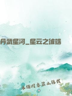 丹武星河