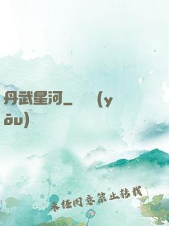 丹武星河