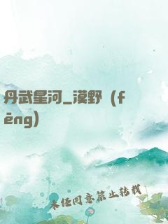 丹武星河