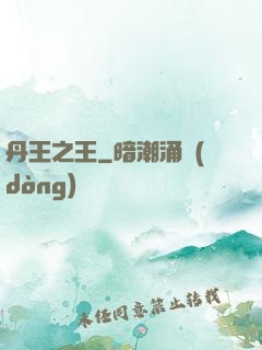 丹王之王