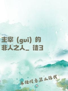 主宰規(guī)則的非人之人