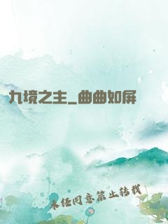 九境之主