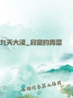 九天大漠