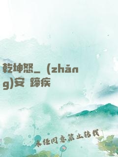 乾坤怒