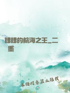 亂糟糟的航海之王