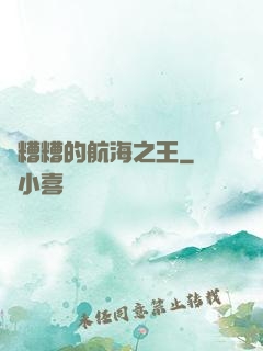 亂糟糟的航海之王