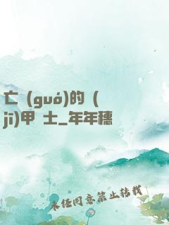 亡國(guó)的機(jī)甲騎士