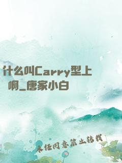 什么叫Carry型上單啊