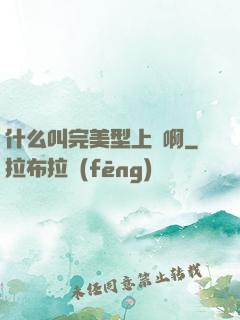什么叫完美型上單啊