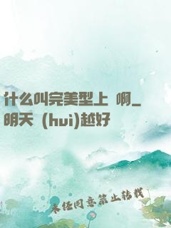 什么叫完美型上單啊