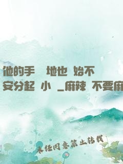 他的手漸漸地也開始不安分起來小說