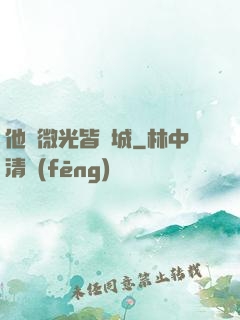 他與微光皆傾城