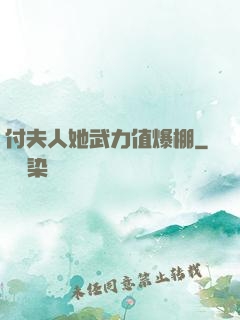 付夫人她武力值爆棚