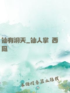 仙有洞天