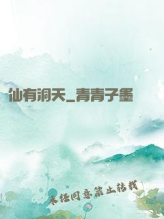 仙有洞天