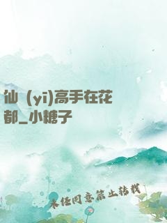 仙醫(yī)高手在花都