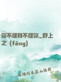 你不懂我不怪你