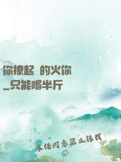 你撩起來的火你負責滅