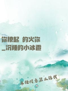 你撩起來的火你負責滅