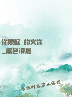 你撩起來的火你負責滅