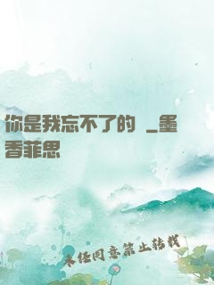 你是我忘不了的愛