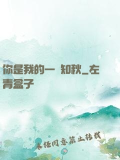 你是我的一葉知秋