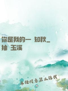你是我的一葉知秋