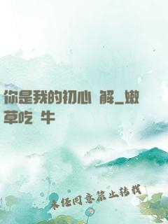 你是我的初心難解